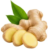 Jengibre (Zingiber officinale) en la composición de Vidasal
