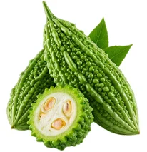 Melón amargo (Momordica charantia) en la composición de Vidasal