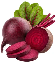 Raíz de betabel (Beta vulgaris) en la composición de Vidasal